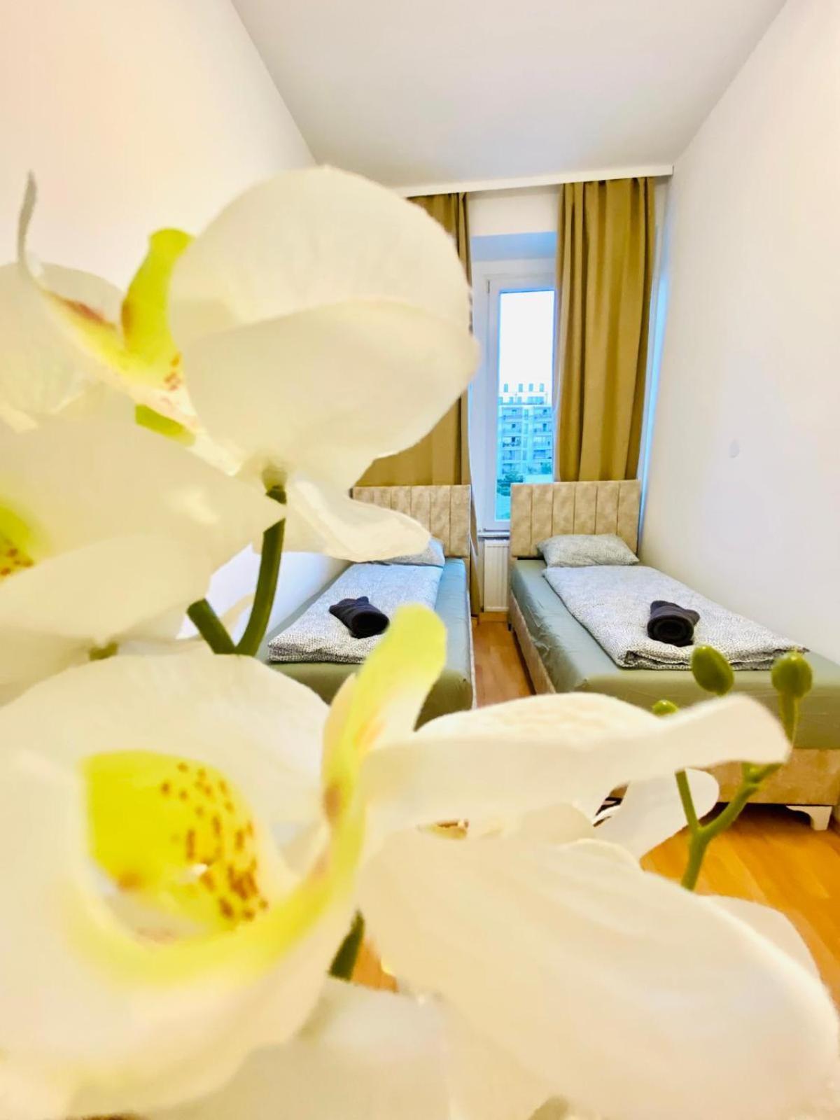 Bright 5Br Shared Apartment W Great Transport Link Wien Exteriör bild